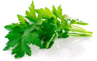 LIBERA A TU CUERPO DE LA SAL ACUMULADA