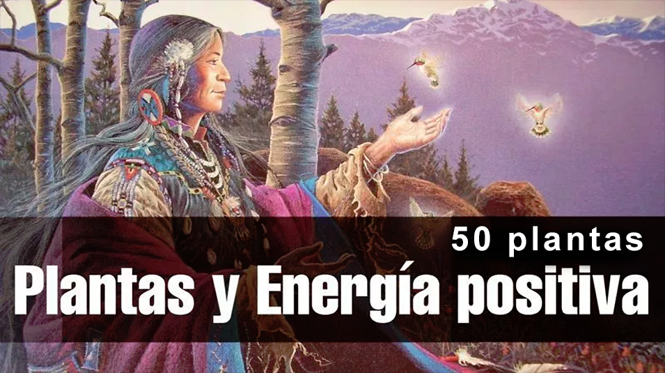 50 plantas que atraen energías positivas según la sabiduría ancestral