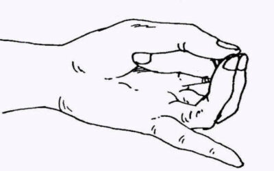 Apan Vayu Mudra