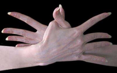 Garuda: Mudra de la libertad