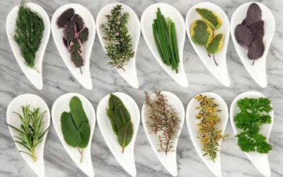 Herbología Naturopática