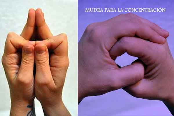 MUDRAS DE CONCENTRACIÓN Y DE PODER INTERIOR