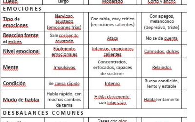 HARPAGOFITO PARA REUMA, ARTROSIS Y ARTRITIS