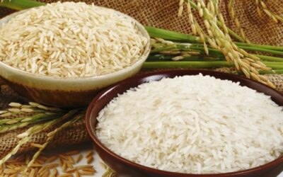 Recetas de Ayurveda de arroz