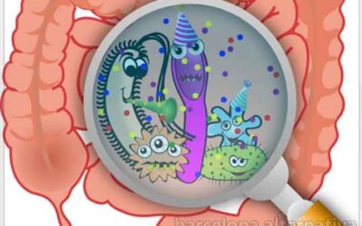 TU DIETA DEBE DE COMPLACER TAMBIÉN A TUS BACTERIAS
