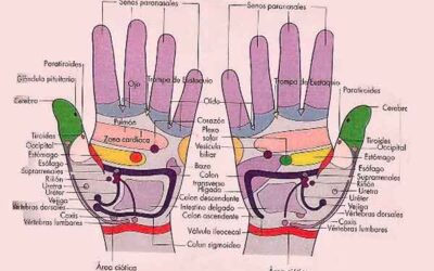 Reflexología de las palmas de las manos
