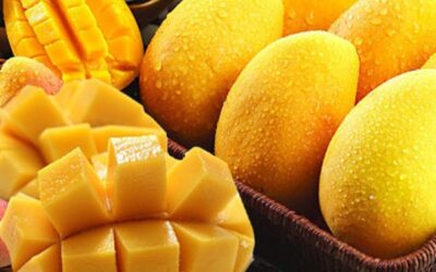 Mango: Esa fruta maravillosa