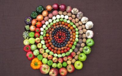 REMODELANDO LOS HÁBITOS ALIMENTICIOS