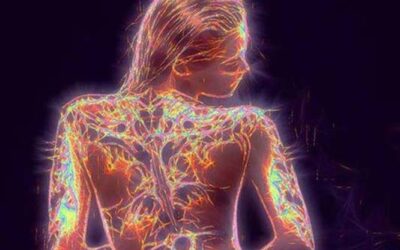 AUMENTA TU ENERGÍA VITAL (parte 2)