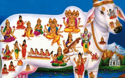 ¿CONOCES EL HINDUISMO?