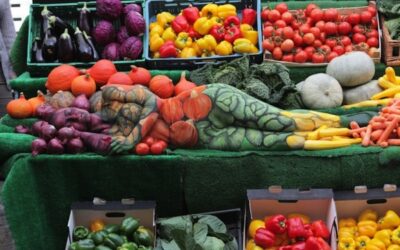 USA LA INTELIGENCIA ALIMENTICIA