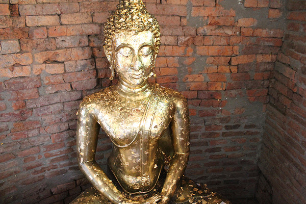 PUEDES SER UN SABIO ILUMINADO