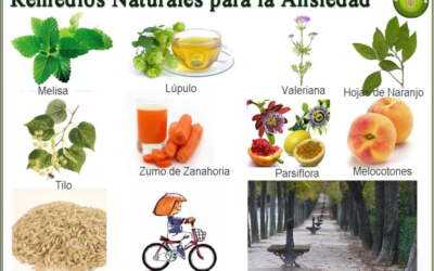 ALGUNAS HIERBAS PUEDEN TRATAR TU ANSIEDAD