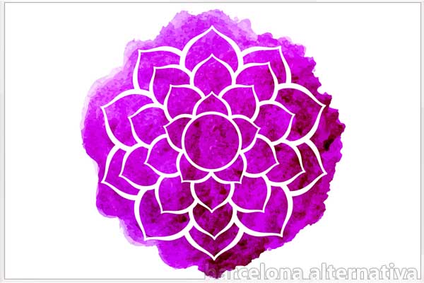 LA GUÍA DEFINITIVA DE LOS CHAKRAS