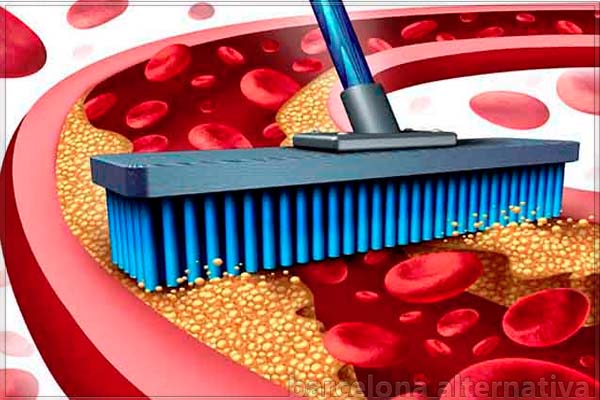 20 ALIMENTOS QUE BARREN EL COLESTEROL