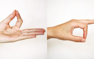 Jñana Mudra