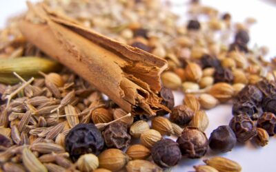 Garam Masala. Especias digestivas de la india