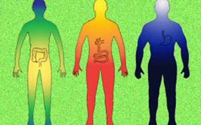 Los 3 tipos de Doshas del ayurveda