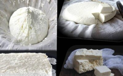 Panir – Queso fresco casero