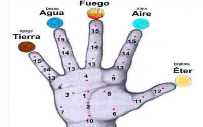 Los puntos Marma del ayurveda