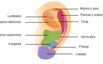 Masaje en la oreja para activar el cuerpo