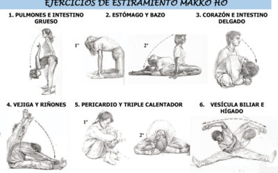 Estiramientos MAKKO-HO para una bienestar integral