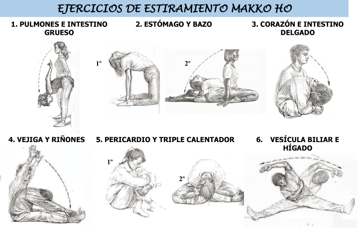 Estiramientos MAKKO-HO para una bienestar integral