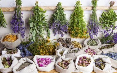 Salud fitoterapeutica de tu signo del zodiaco