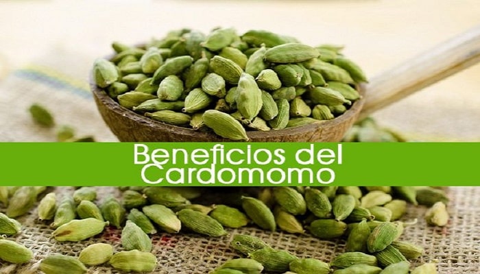 cardamomo
