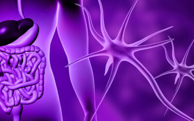 Investigadores descubren una conexión entre el intestino y el cerebro