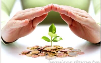 8 plantas que traerán prosperidad a tu hogar