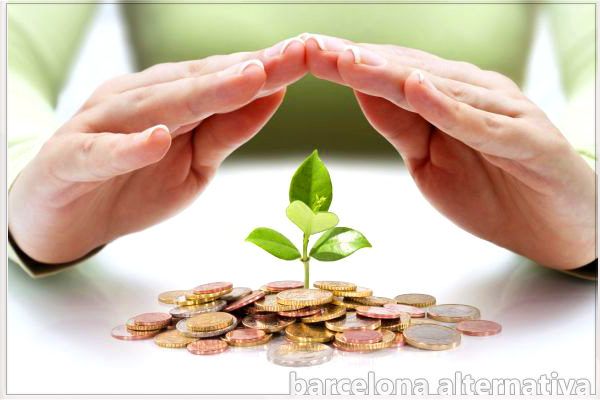 8 plantas que traerán prosperidad a tu hogar