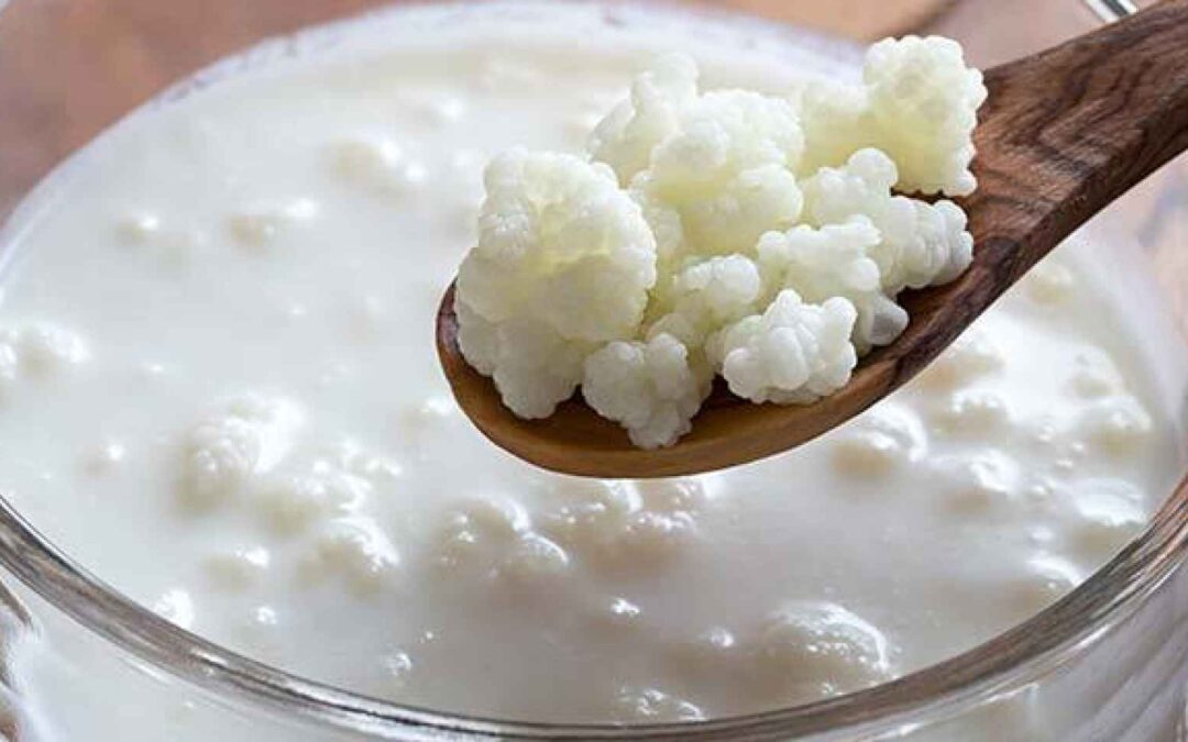Como hacer Kefir en 10 pasos