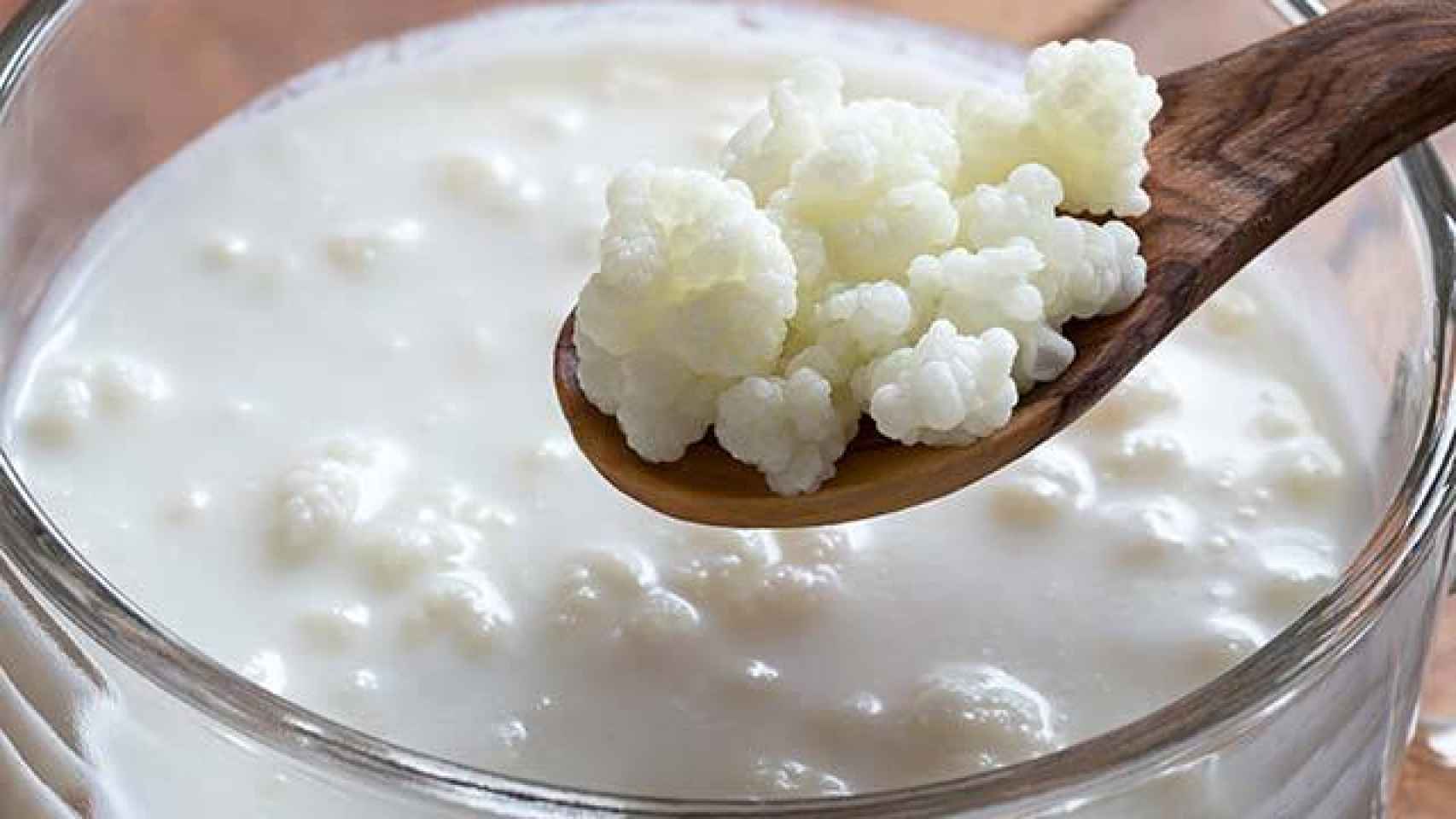 Como hacer Kefir en 10 pasos