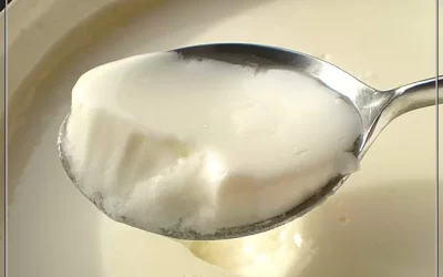 Dahi – Yogur